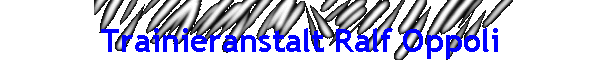 Trainieranstalt Ralf Oppoli